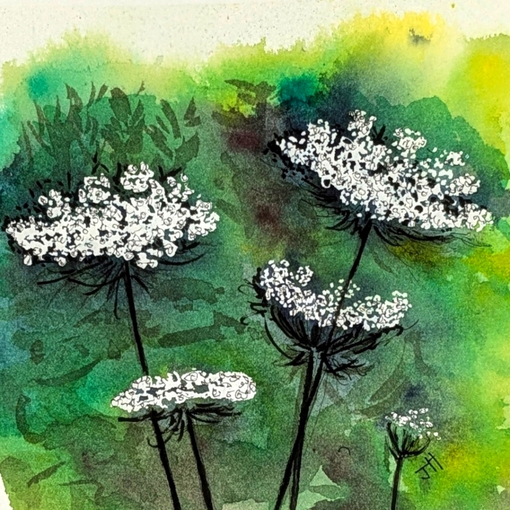 ⭐HOST PICK⭐ Art Print of Watercolour Painting - Queen Ann's Lace